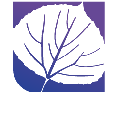 شعار ASPEN HOME